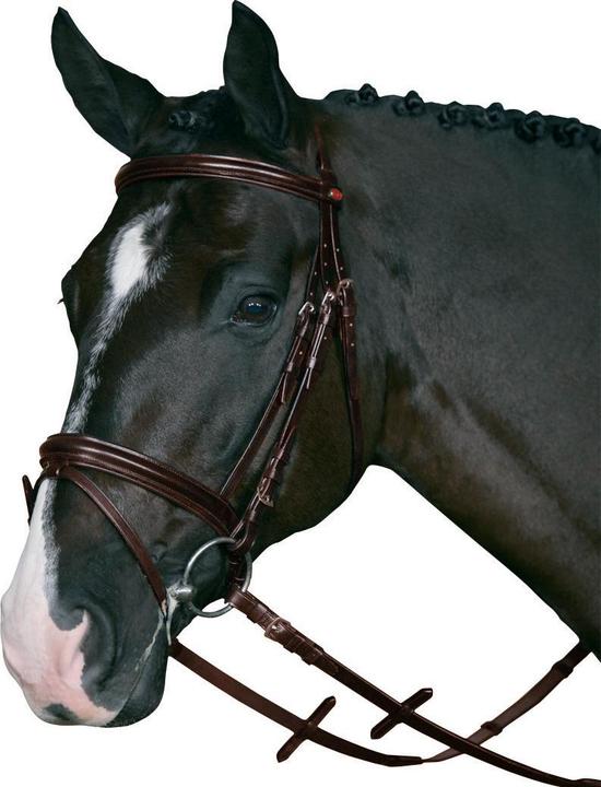 Image du produit Horse Guard Bridons équitation avec supergrip