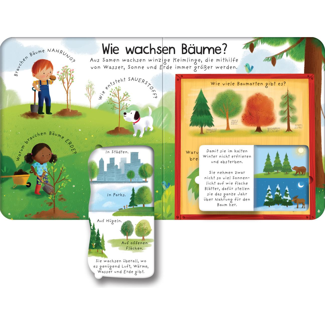 Thumbnail - Erstes Aufklappen und Verstehen: Warum brauchen wir Bäume?, Kinderbücher von Katie Daynes, Dan Taylor