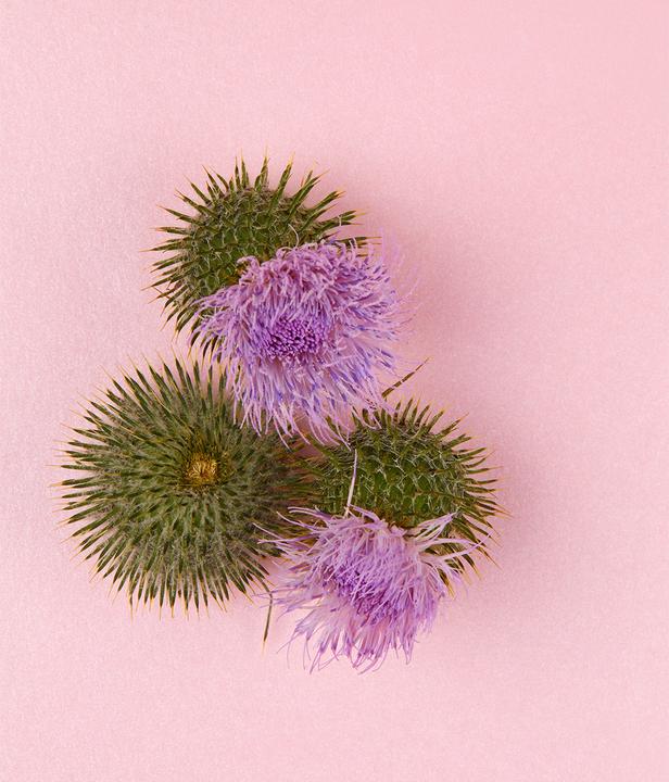 Image du produit NIVEA Crème de jour anti-âge Naturally Good (50 ml, Crème de jour)