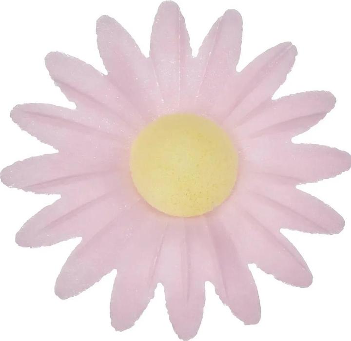 Produktbild ScrapCooking Gänseblümchen (1 Stk.)