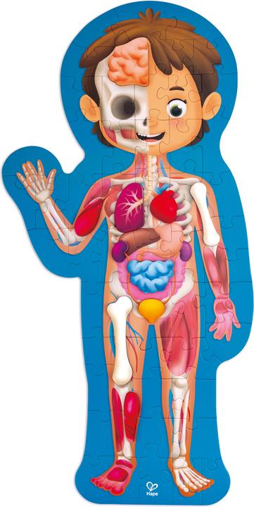 Produktbild Hape Mein Körper (60 Teile)