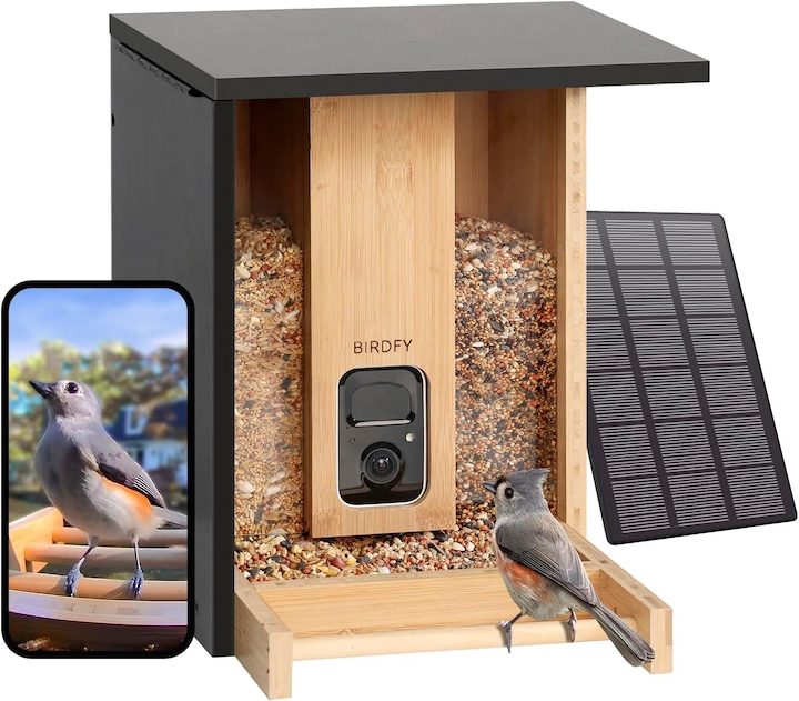 Birdfy Feeder Bamboo AI by Subscription + Solar Panel