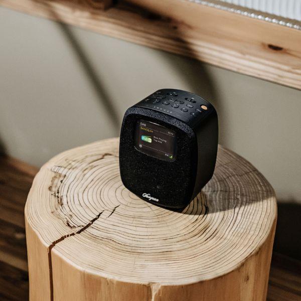 Actual product image Sangean DCR-83 (DAB+, FM, Bluetooth)