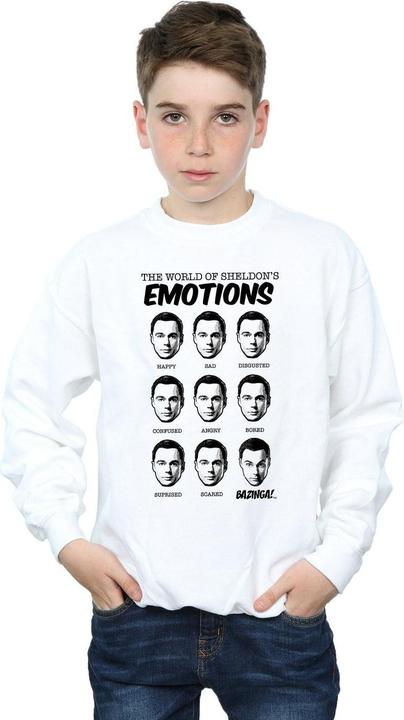 Produktbild Dam Sheldon Emotions Sweatshirt Jungen (140, 146)