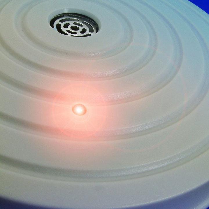 Produktbild Colibri Indoor-Mäuseschreck