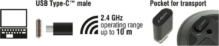 Actual product image Delock 12526 (Wireless)