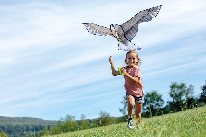 Produktbild Haba Flugdrache