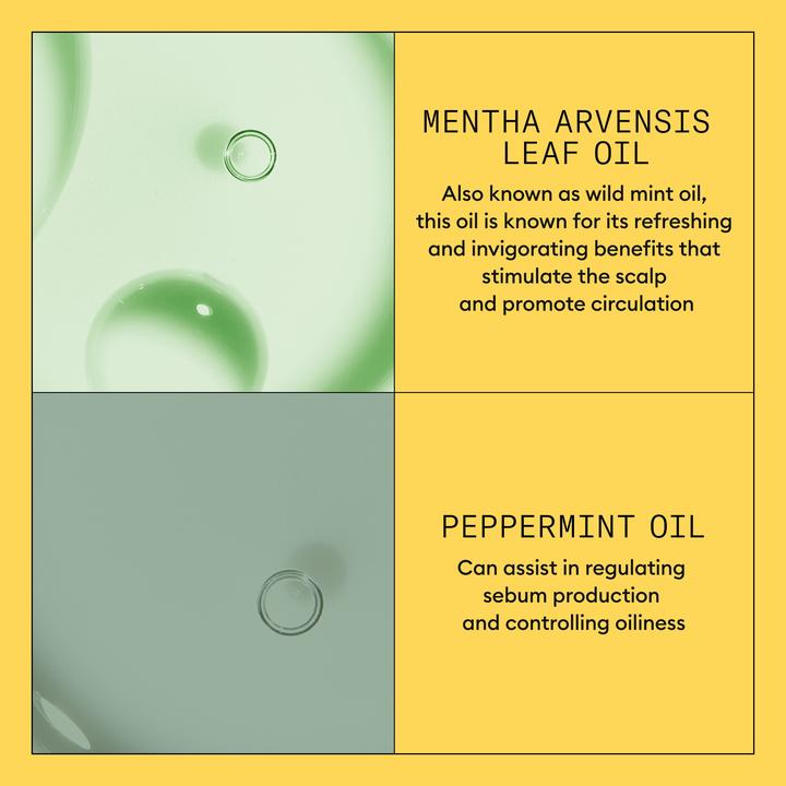 Image du produit Nioxin Scalp + Hair System 1 Conditioner (1000 ml)