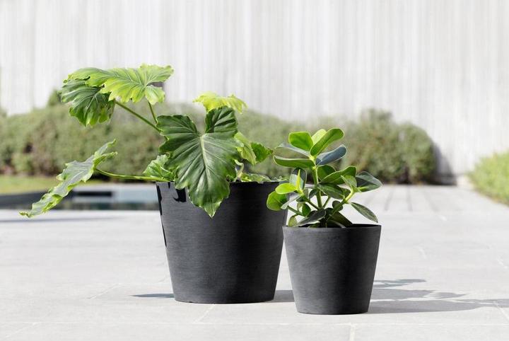 Actual product image Ecopots Amsterdam (30 cm)