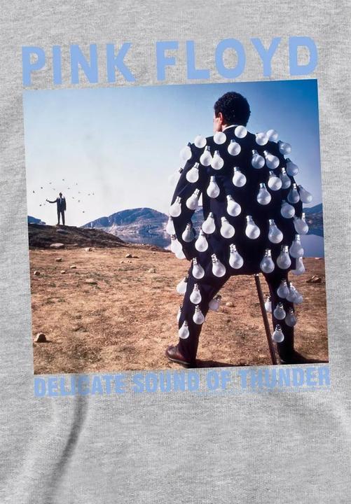 Produktbild Pink Floyd Delicate Sound Of Thunder Kapuzenpullover meliert (128)