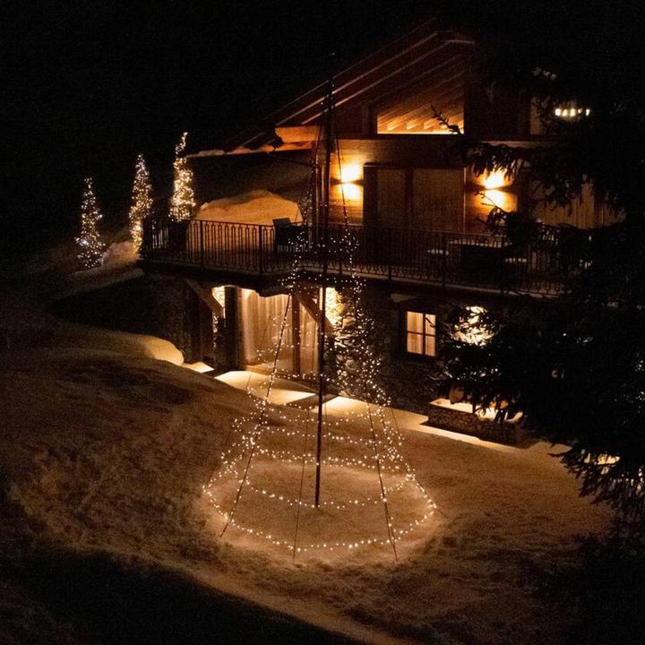 Image du produit Twinkly Arbre de lumière (1 m)