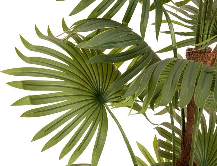 Produktbild Europalms Fächerpalme, Kunstpflanze, 165cm