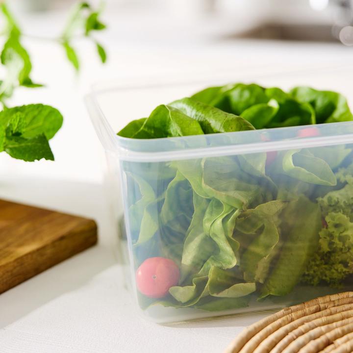 Actual product image Rotho Rondo (8 l)