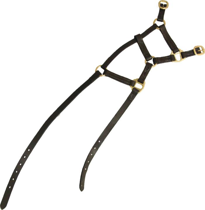 Immagine prodotto Hy Cavezza in pelle per puledri