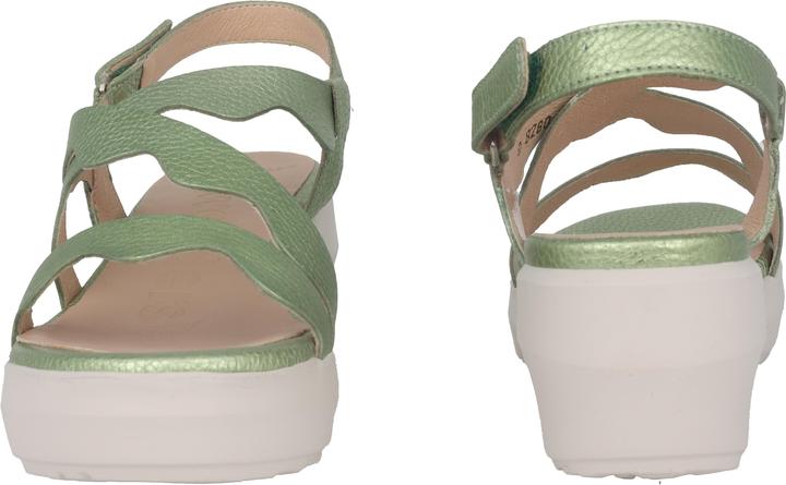 Actual product image Wonders Max (42)