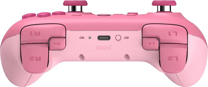 Produktbild 8bitdo Ultimate 2C (Switch 2)