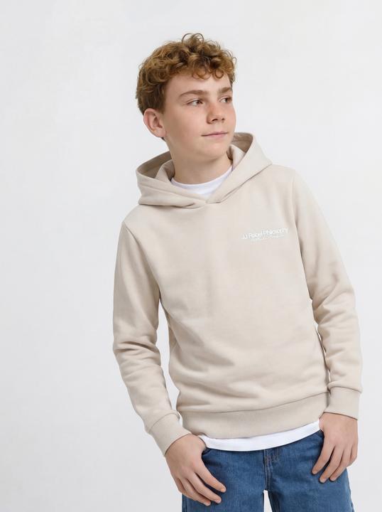 Produktbild Jack & Jones Jrebzack Sweat Hood Noos Jnr (152)