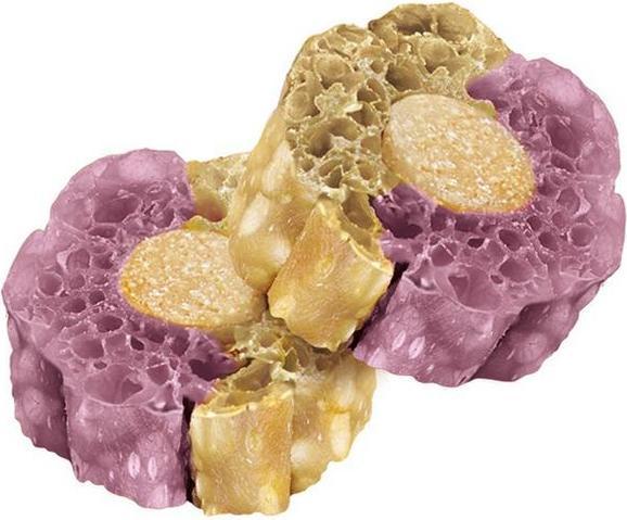 Produktbild Knash Woofa-Loofa Digestive (100 g)