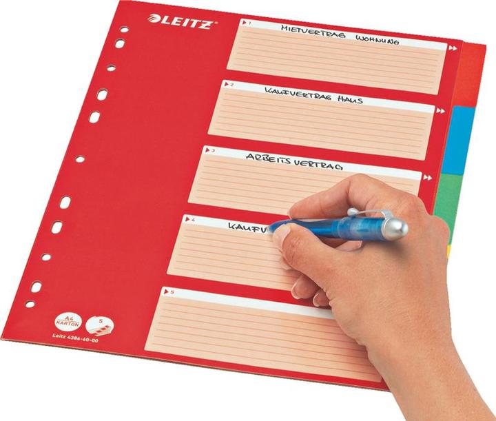 Produktbild Leitz Kartonregister Blanko