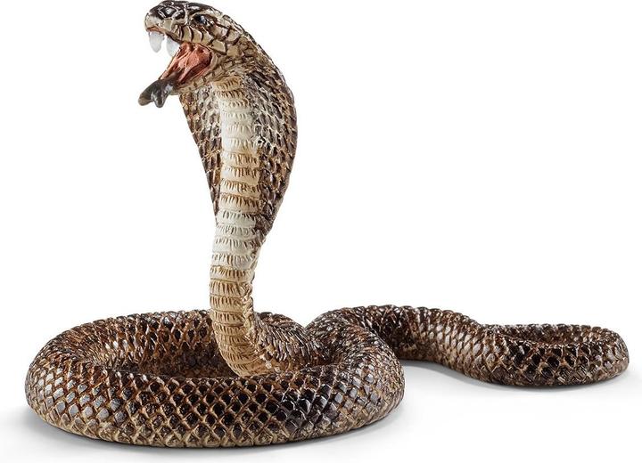 Image du produit Schleich Cobra
