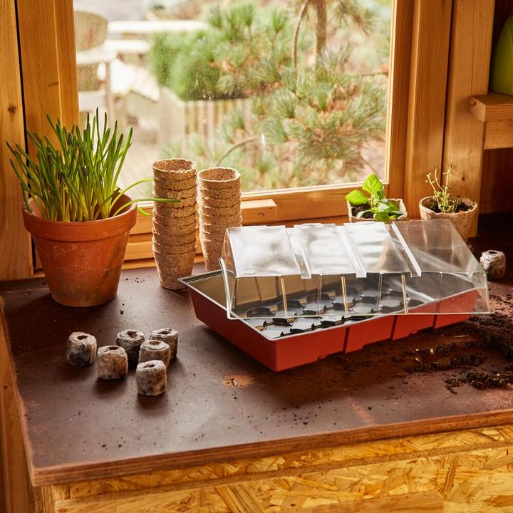 Produktbild Siena Garden Anzuchtgewächshaus