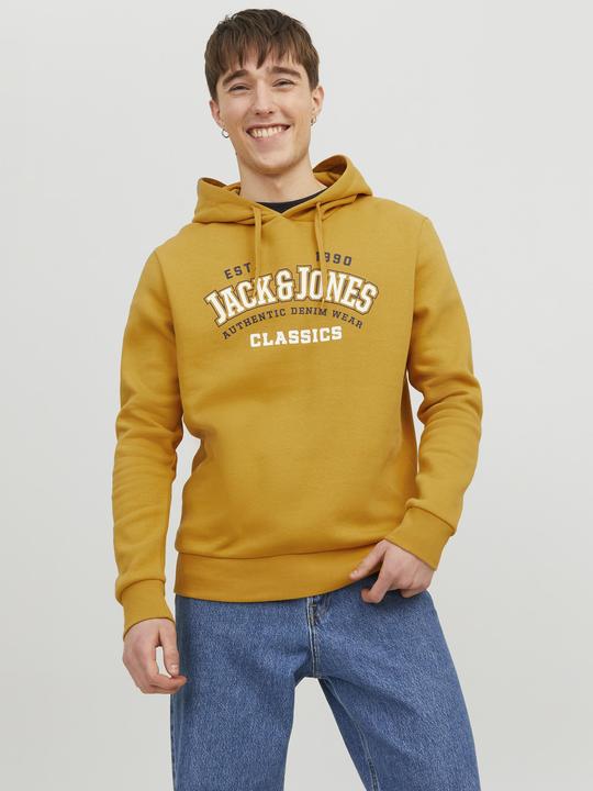 Actual product image Jack & Jones Logo Hoodie (L)