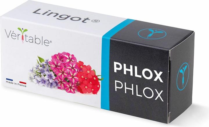 Produktbild Véritable Lingot Stiefmütterchen BIO (Kräutersamen)