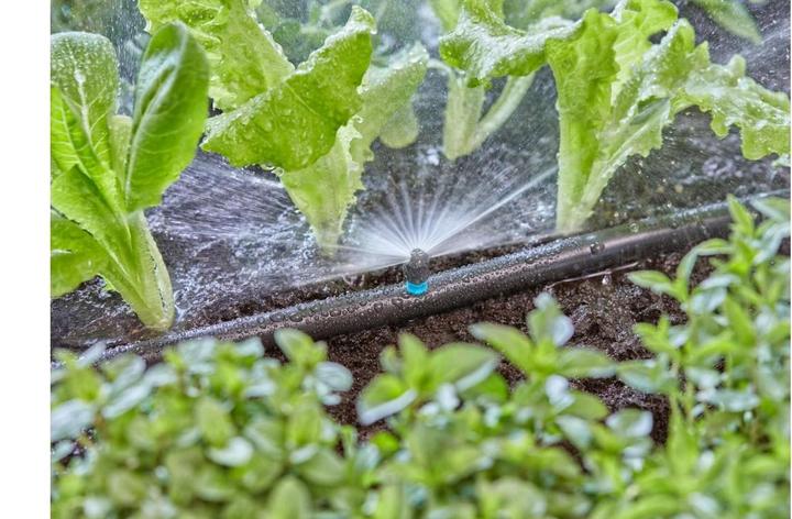 Image du produit Gardena Buse de pulvérisation du système Micro-Drip180 degrés (Irrigation goutte à goutte)