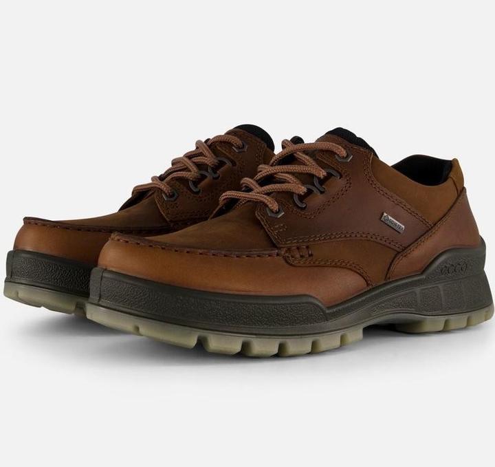 Actual product image Ecco Track 25 Low GTX (40)