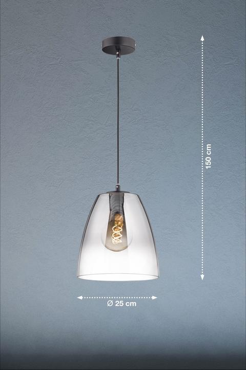 Produktbild Fischer & Honsel Honsel Pendelleuchte Miro - sandschwarz/Glas rauchfarben (60843) (E27)