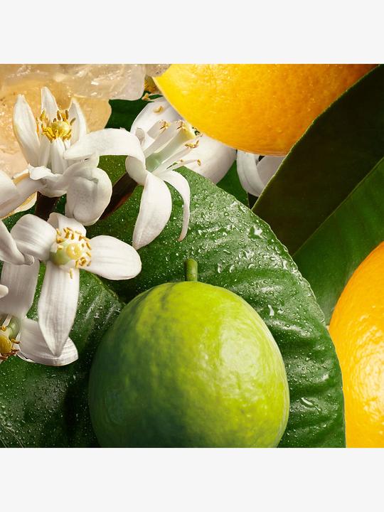 Produktbild Molton Brown Orange Bergamot (300 ml)