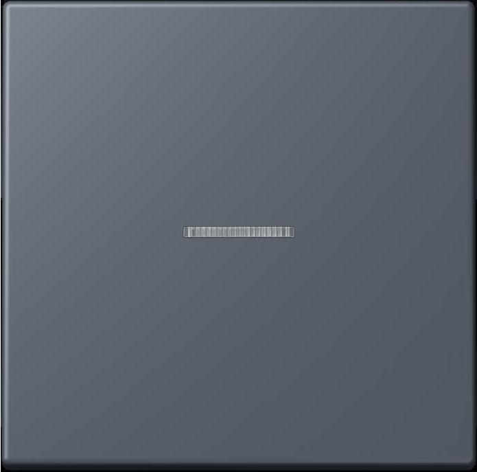 Actual product image JUNG Button