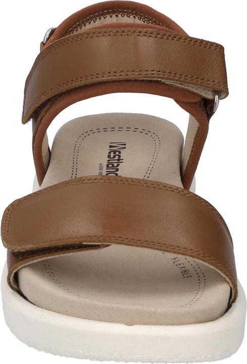 Produktbild Westland 25401-410 (38)