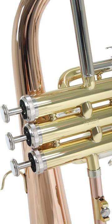 Produktbild Roy Benson Bb Flugelhorn mit MS-Bohrung, Goldmessingbecher und Koffer mit Rucksackfunktion (Flügelhorn)