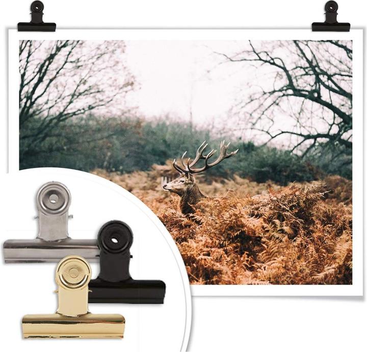Image du produit Trenddeko Dans la forêt (40 x 30 cm)