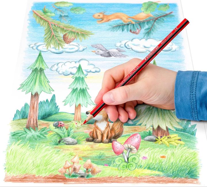 Produktbild Staedtler Buntstiftset mit Kindermalbuch mit Tieren (Mehrfarbig)
