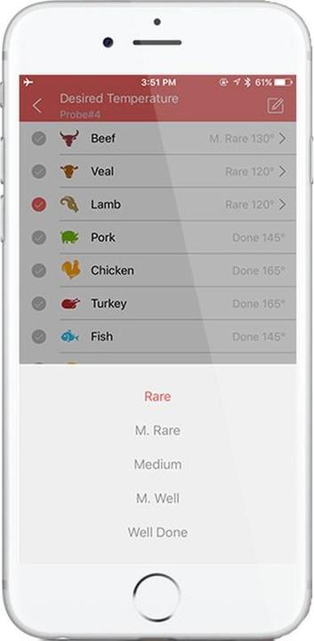 Produktbild Inkbird IBT-6XS BBQ