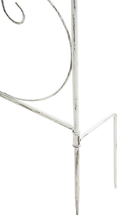 Immagine prodotto CLP Mandevilla (1 cm, 99 cm)