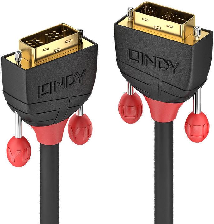 Actual product image Lindy Dvi — Dvi (2 m)