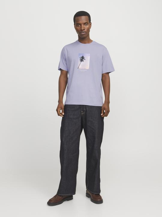 Produktbild Jack & Jones Jorvesterbro Picture Tee Ss Crew Neck Sn (L)