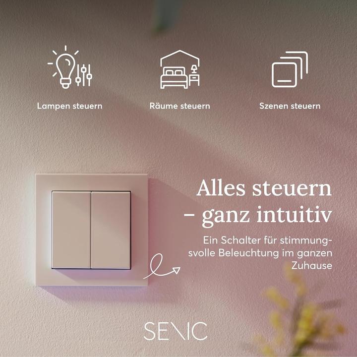 Immagine prodotto Senic Friends of Hue