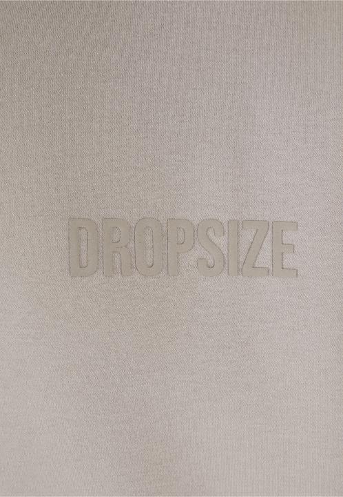Image du produit Dropsize Sweat à capuche Heavy Oversize HD Print - 126899 (S)
