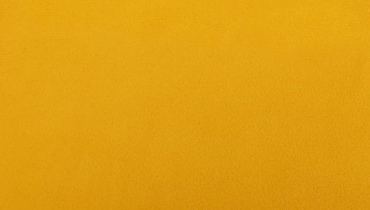 Image du produit vidaXL Esszimmerstuhl