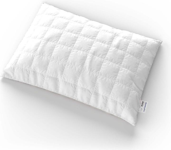 Immagine prodotto softsleep Queen (40 x 60 cm)