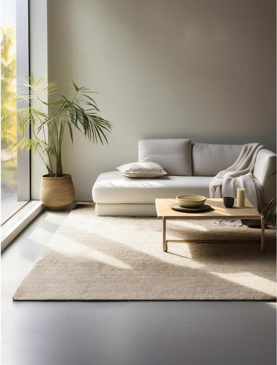 Produktbild Hanse Home Jaipur (230 x 160 cm)