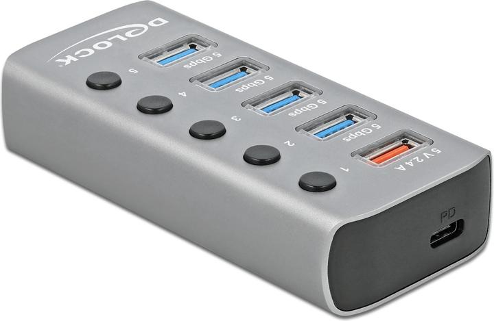 Actual product image Delock USB 3.2 Hub (USB-B, 6 ports)