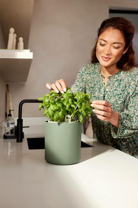 Produktbild Elho Bouncy Basil (17 x 21 cm)