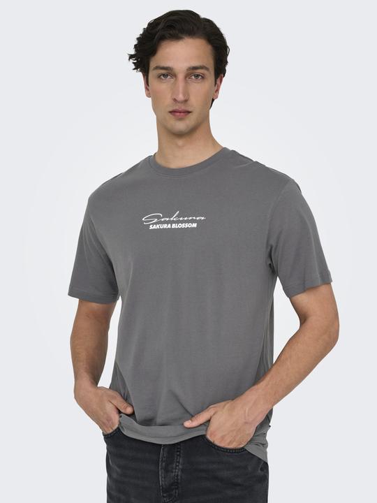 Immagine prodotto Only & Sons Onskeane Rlx Ss Print Tee Noos (S)