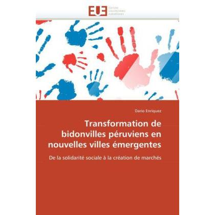 Transformation de bidonvilles péruviens en nouvelles villes émergentes, Fachbücher