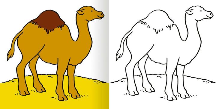 Actual product image Malbuch ab 2j. - Zoo